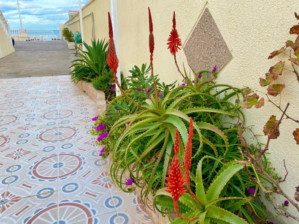 Royal Beach House Vista Mar La Mata  Extérieur photo